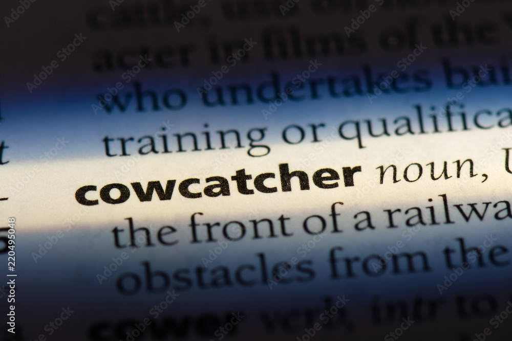  cowcatcher