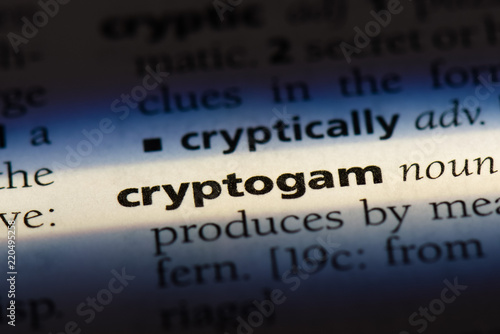  cryptogram photo