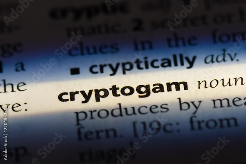  cryptogram