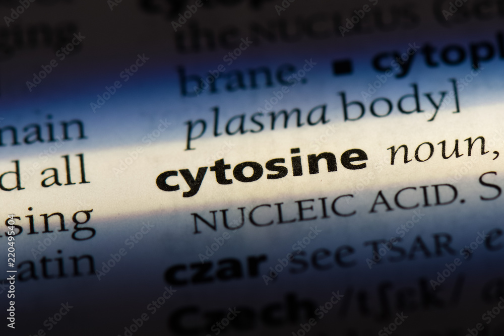 Obraz premium cytosine