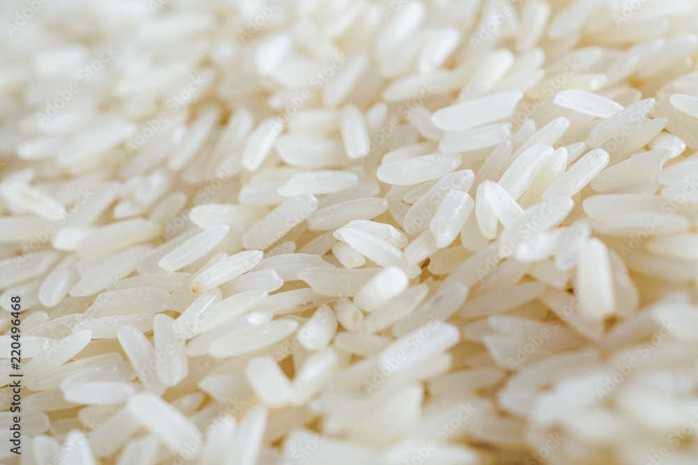Thailand Jasmine rice texture background close up Thailand Jasmine rice texture background close up