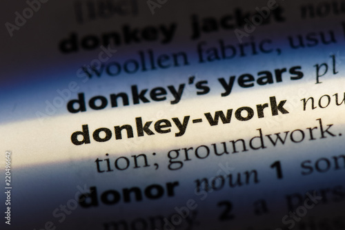  donkey work