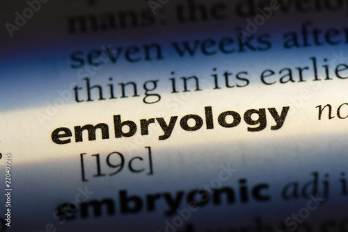  embryology