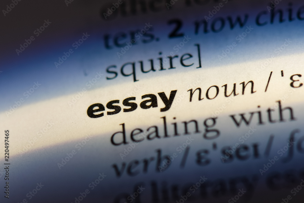  essay