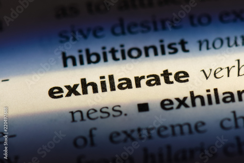 Canvas Print exhilarate