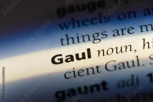  gaul photo