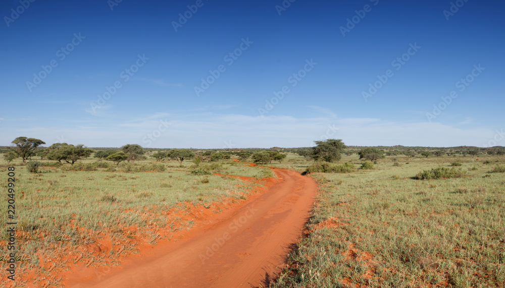 Northern Cape Landscape