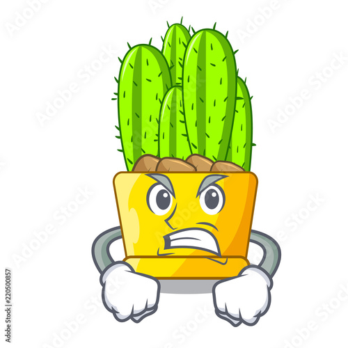 Angry cereus cactus in a pot cartoon