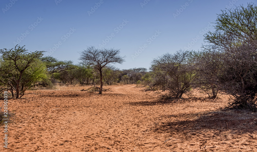 Fototapeta premium Northern Cape Landscape