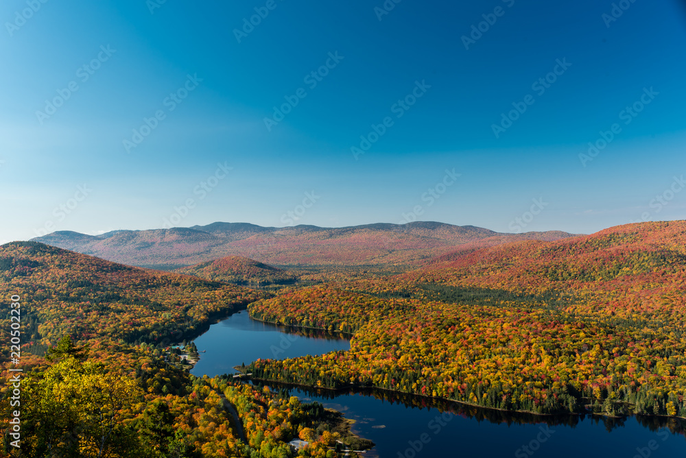 This is a picture of autumn leaves seen from the National Park 