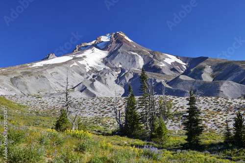 View of Mount Hood  Oregon from the Timberline Trail