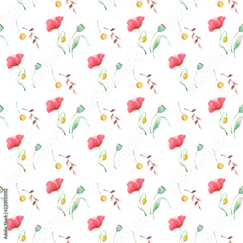 Seamless pattern with hand painted watercolor illustrations of wild flowers on white background