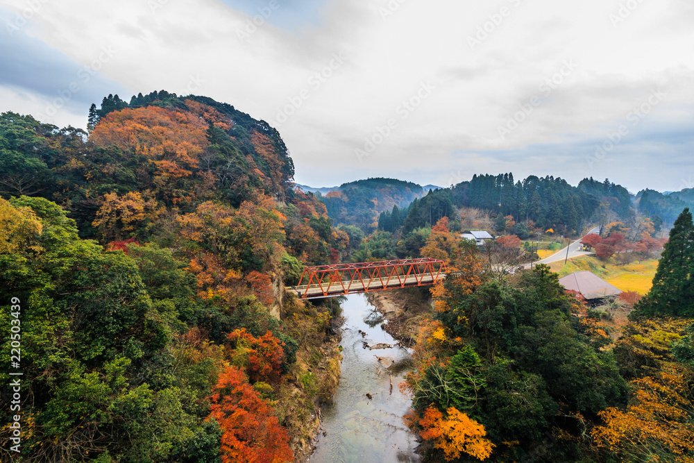 秋の養老渓谷の渓谷橋からみた風景