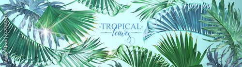 Vector horizontal tropical leaves banner on light blue background. Exotic botanical design for cosmetics, spa, perfume, health care products, aroma, wedding invitation. Best as web banner
