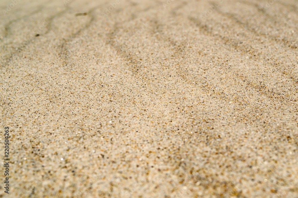 Beige sand background. The sand texture. Beige sand background. The sand texture.