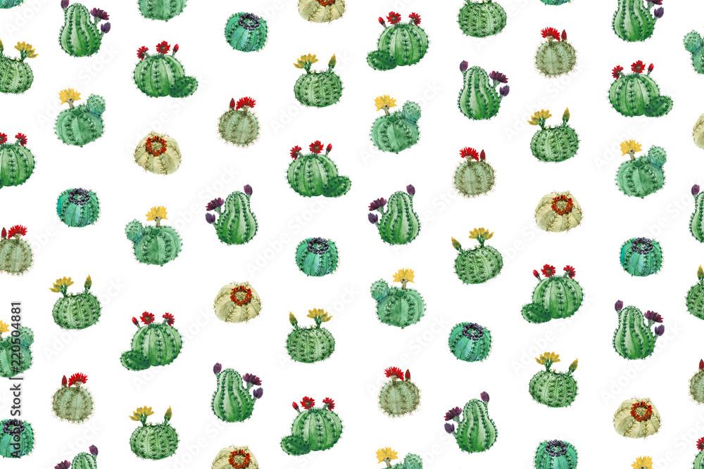 Obraz premium Pattern with watercolor cactuses on white background.