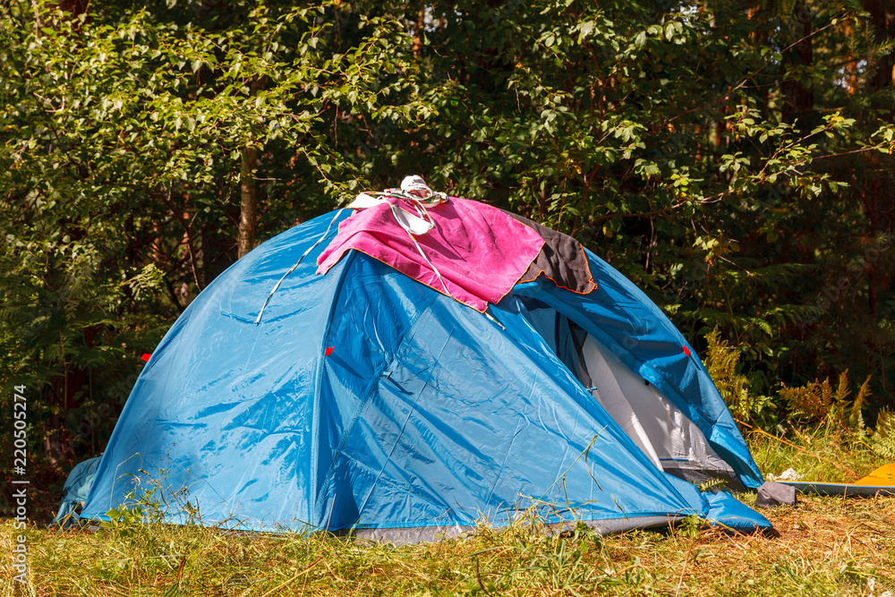 Blue camping tent in the forest in bright sunny day Blue camping tent in the forest in bright sunny day