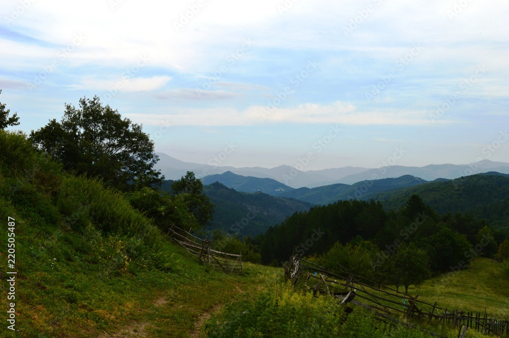 landscape
landscape