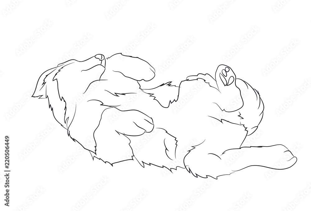 dog lies, lines, vector, dog lies, lines, vector,