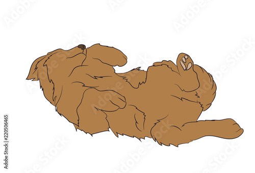dog lies, vector
