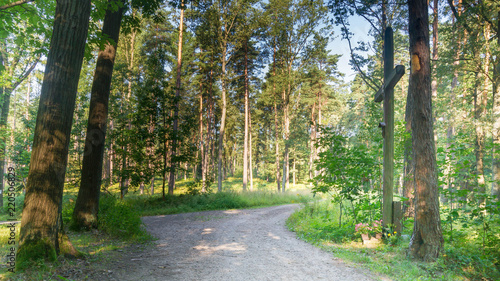 Fototapeta Naklejka Na Ścianę i Meble -  SONY DSC