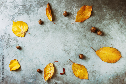 Yellow autumn leaves and acrons seasonal background over grey texture surface. Flat lay, copy space. Toned image photo