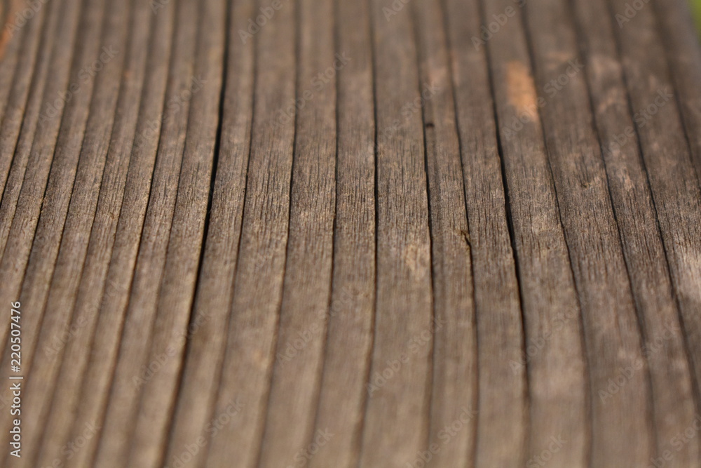Fototapeta premium Vetas lineales de madera matura