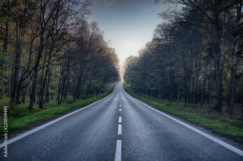 Road in the morning