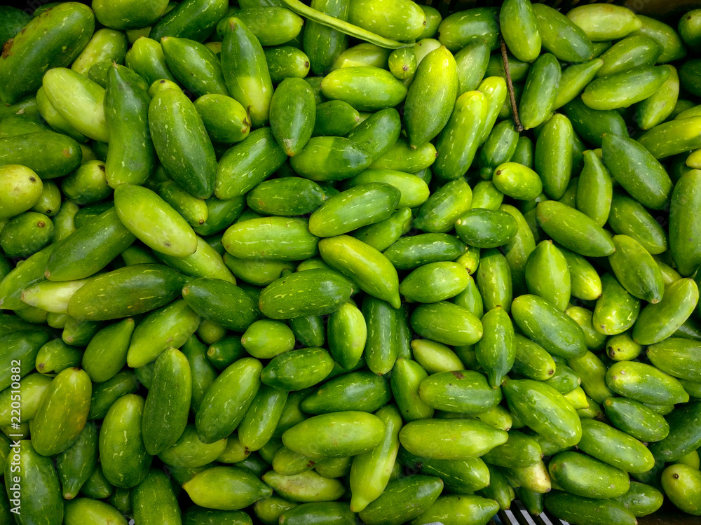 fresh vegetables laid out and shot from above. Showcasing freshness, organic, high vitamin, healthy food for weight loss and long life fresh vegetables laid out and shot from above. Showcasing freshness, organic, high vitamin, healthy food for weight loss and long life