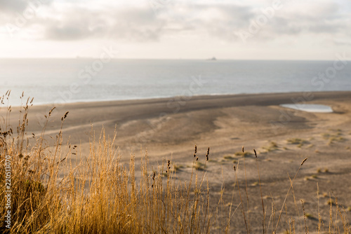 The beach and sand dunes at Lowestoft Suffolk photo