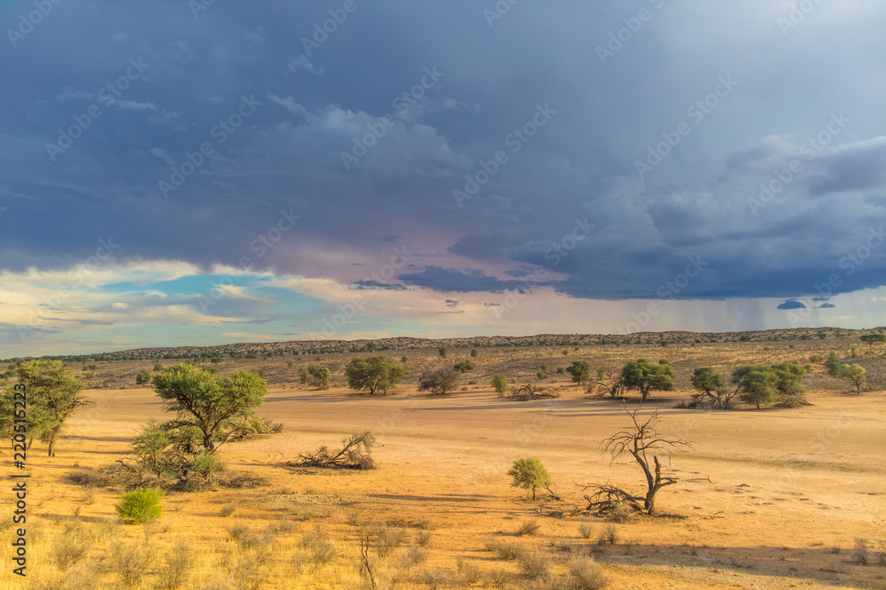 Obraz premium Gewitter über dem Auob Tal, Kgalagadi Transfrontier Park, Südafrika
