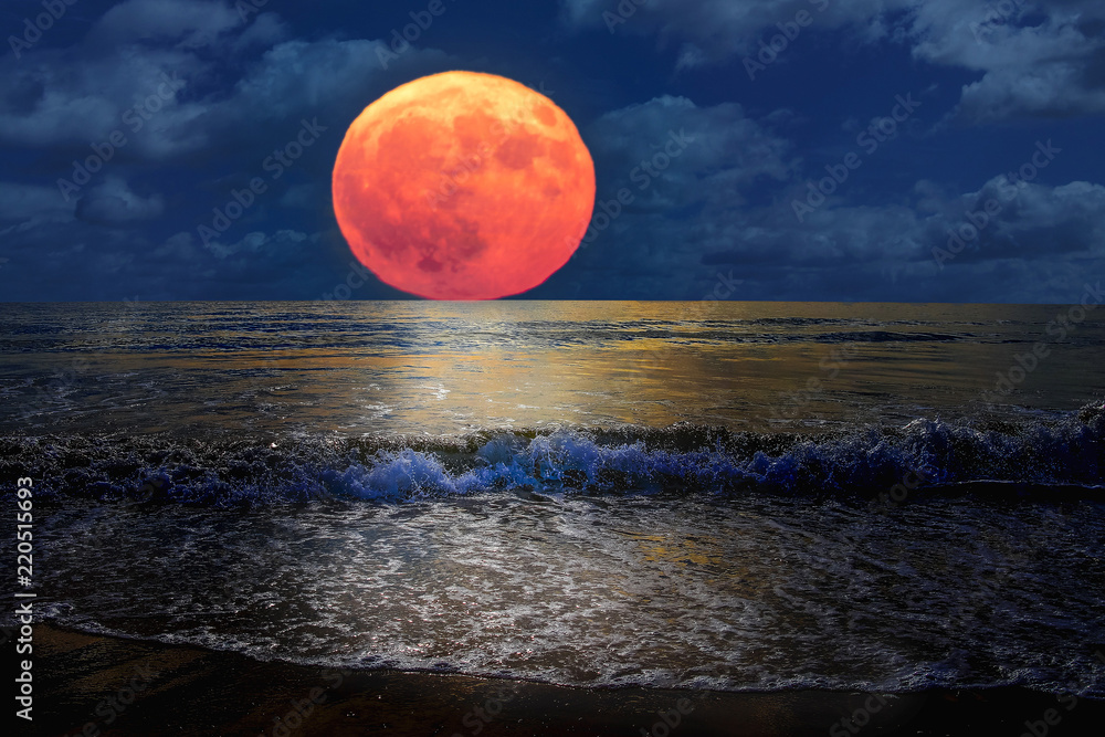 Beautiful landscape of full moon rising in the beach - obrazy, fototapety, plakaty 