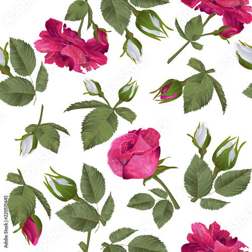 Vector botanical seamless pattern with white and pink rose flowers. Modern floral pattern for textile, wallpaper, print, gift wrap, greeting or wedding background.