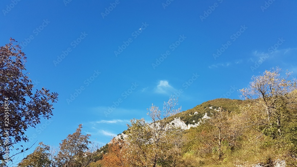 Cielo rami albero e Luna Esanatoglia, Italy Cielo rami albero e Luna Esanatoglia, Italy