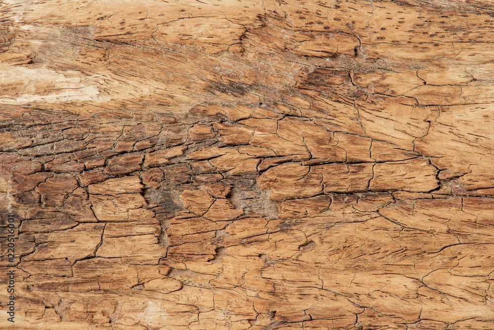 Fototapeta premium old wooden texture