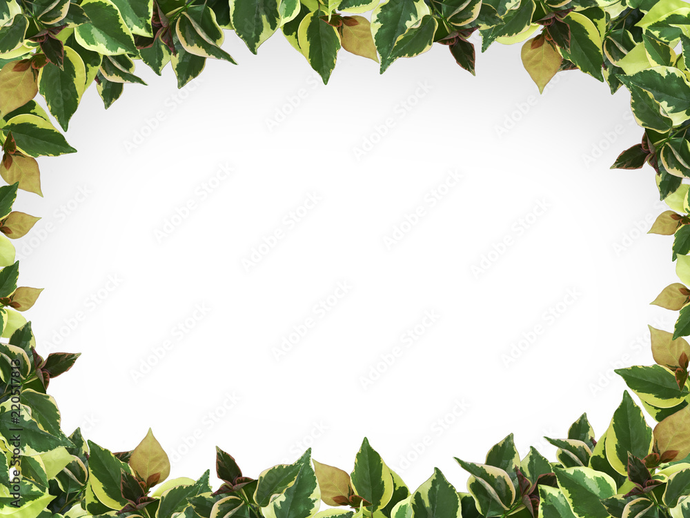 leaves frame leaves frame