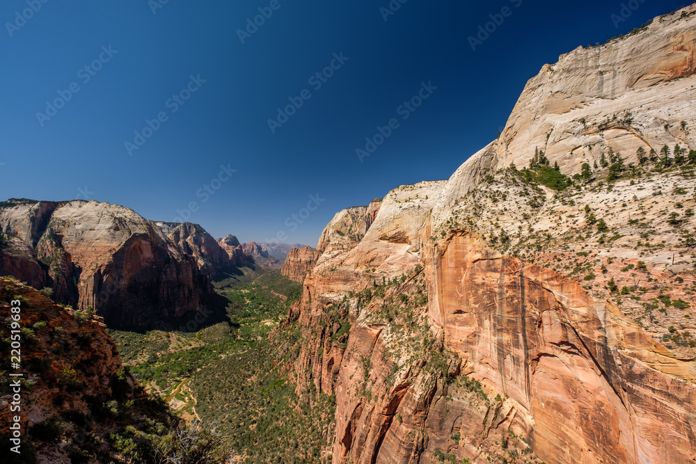 Landscape in Zion National Park Landscape in Zion National Park