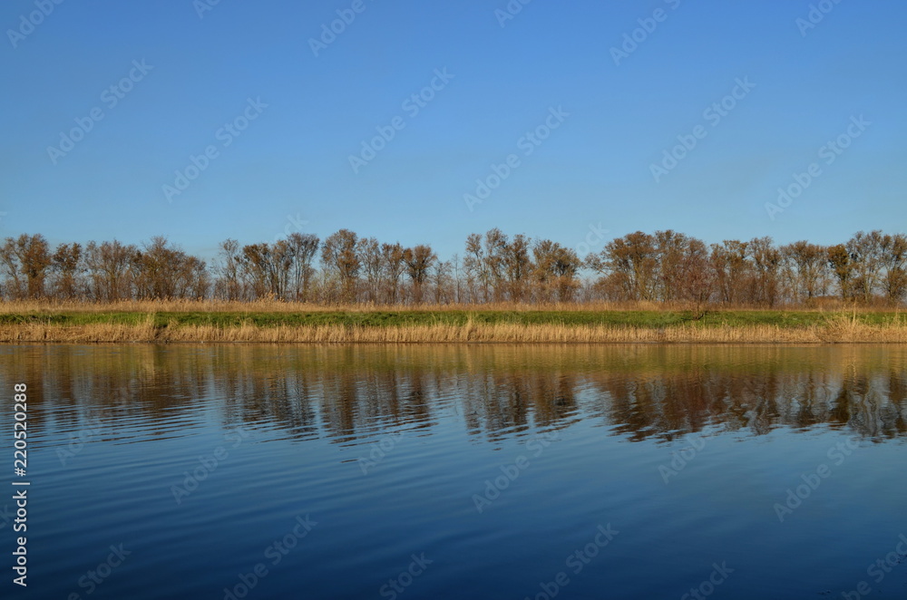 Ripples on the river with forest reflection in the water. Shore with dry reeds and a line of trees