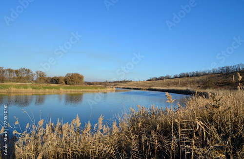 The bend of the river at a small hill. The expanse of the steppe river with the reflection of trees in the water, dry reeds in the foreground