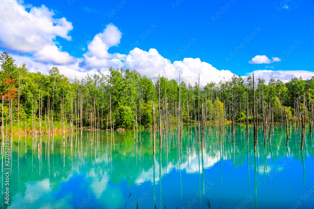 Land scape of Hokkido in summer. Nice weather, clear sky. Land scape of Hokkido in summer. Nice weather, clear sky.