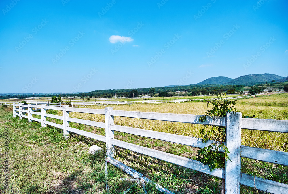 White fence of ranch farmhouse idyllic rural scenery landscape