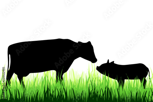 Vector silhouette of cow and pig on a meadow on white background.