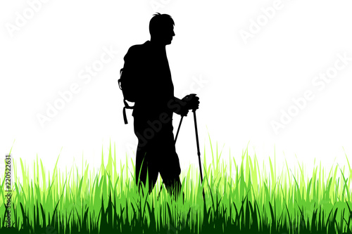 Vector silhouette of man who walk on the meadow with nordic walking.