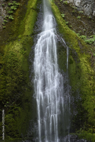 Fototapeta Naklejka Na Ścianę i Meble -  Marymere Falls, Olympic National Park, Washington