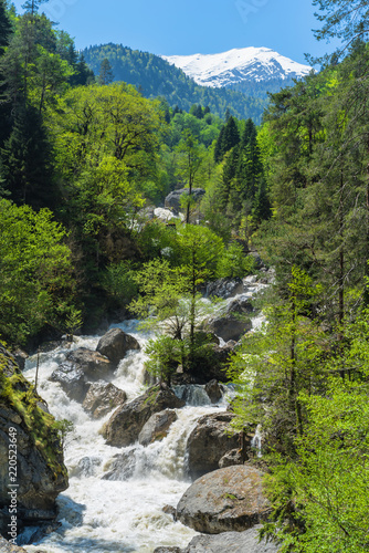 Mountain river with waterfall flows in green forest. Caucasus mountains spring landscape.