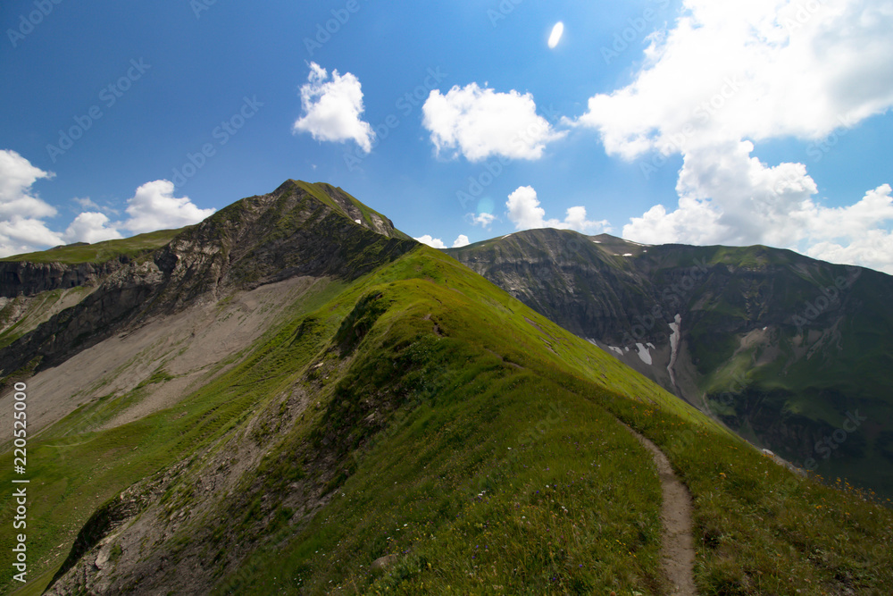 Fototapeta premium Älplesattel im Allgäu