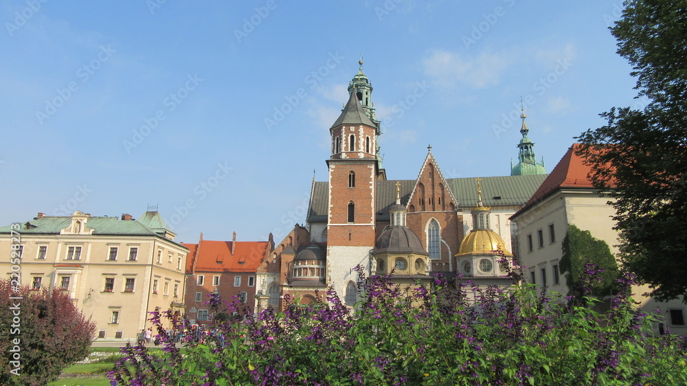 Krakow Wawel Cathedral