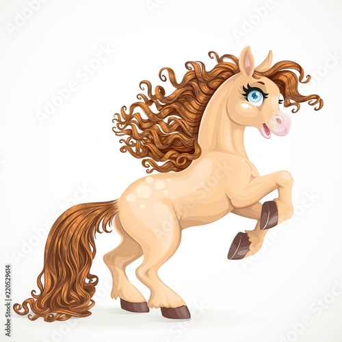Cute brown horse with long mane rearing up isolated on a white background