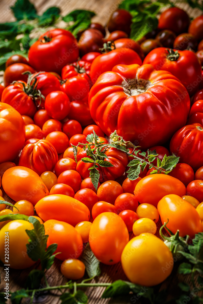 Freshly harvested tomatoes