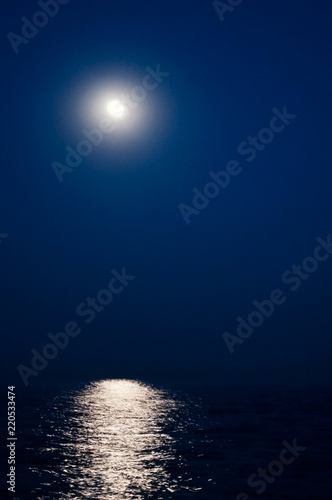 Canvas Print beautiful moonlit walk on the sea